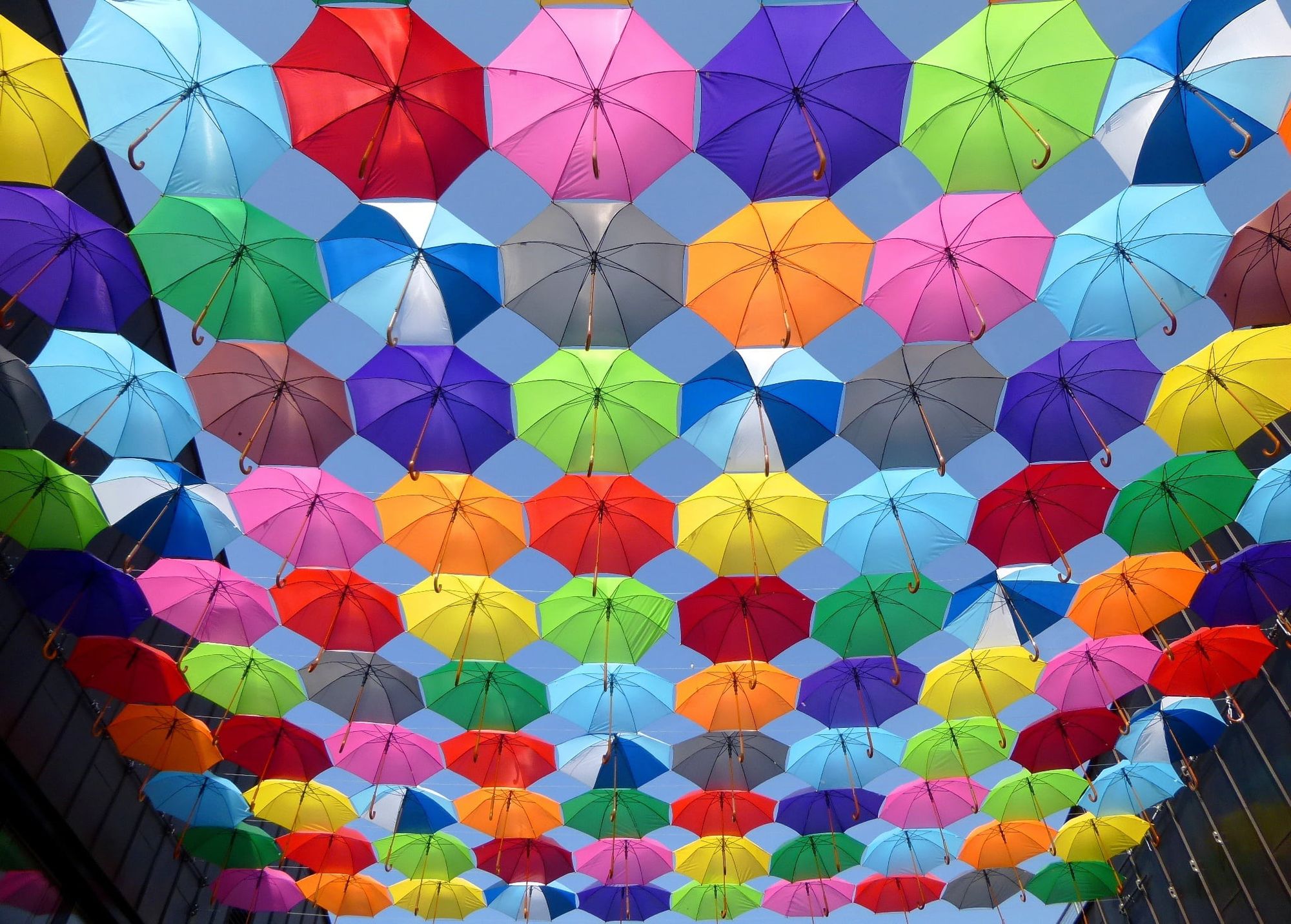 Color challenge - February 2026