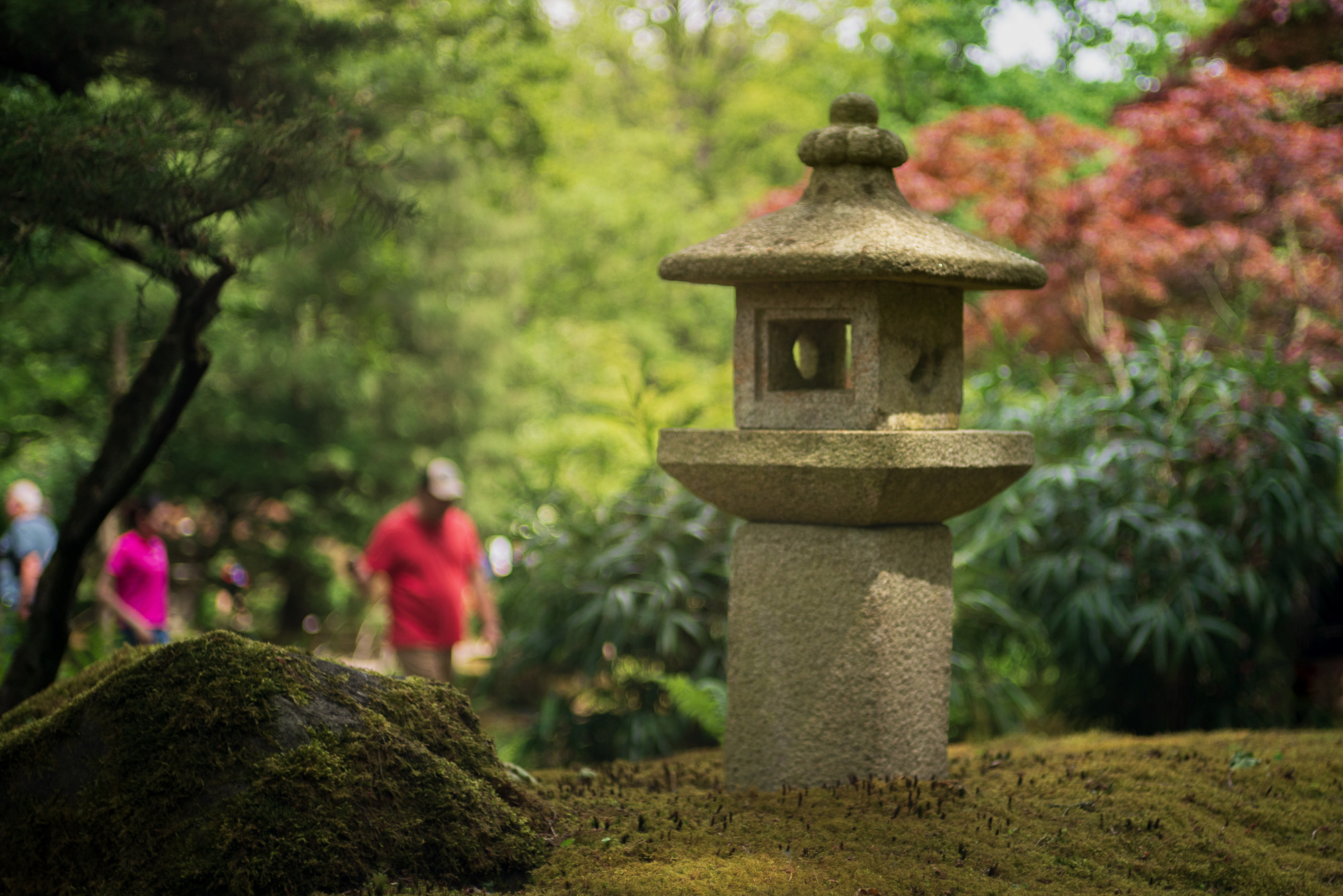 Walk to the Japanese Garden