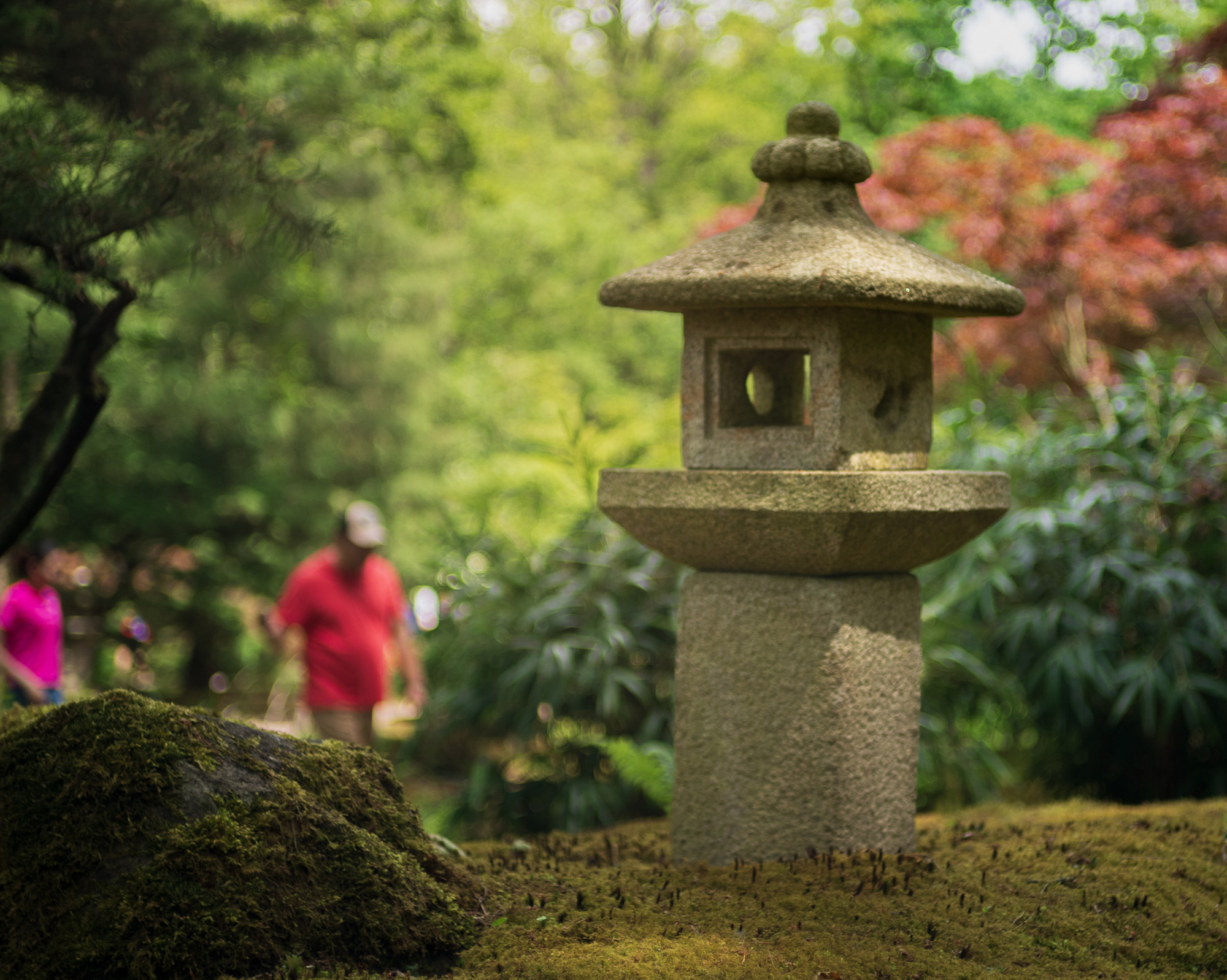 Walk to the Japanese Garden