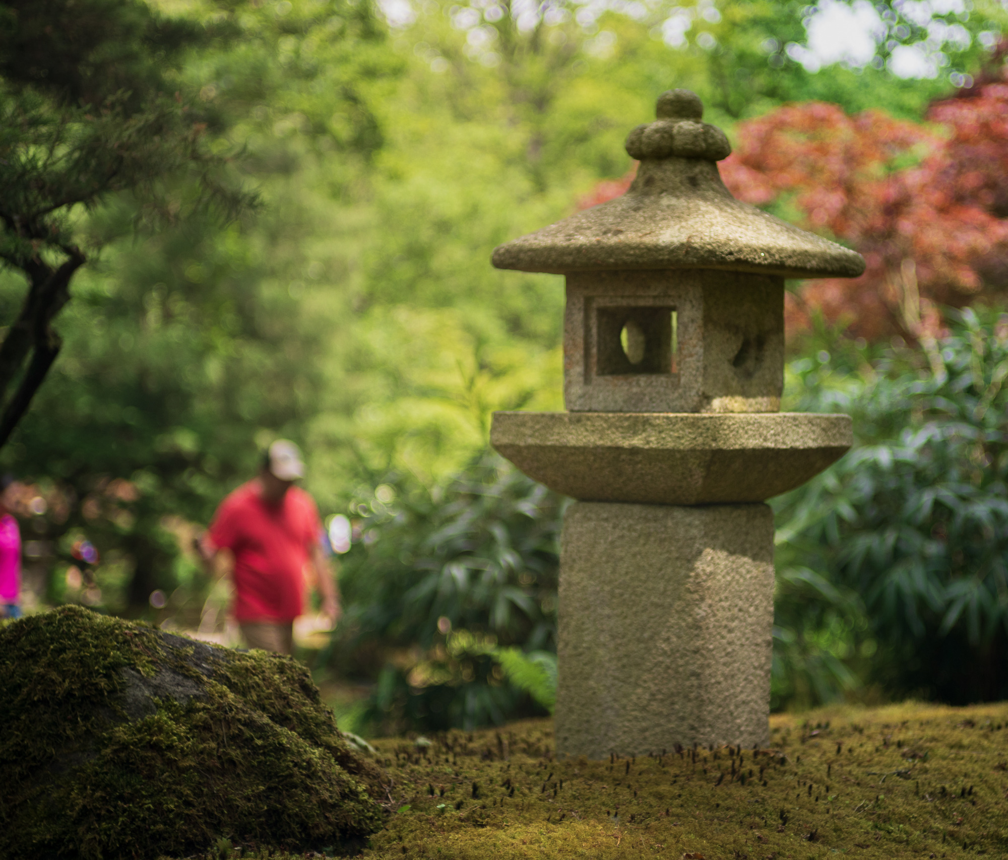Walk to the Japanese Garden