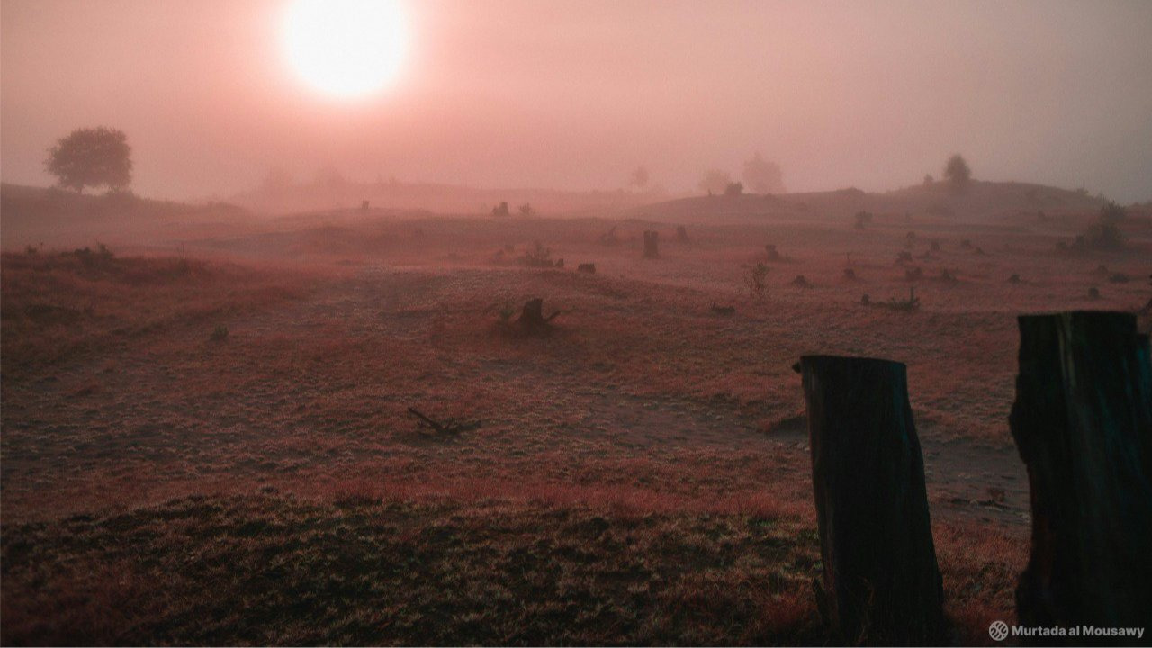 Surreal Photography