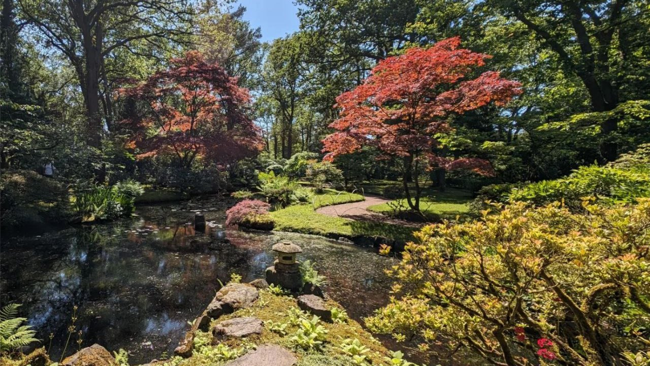 Shadow & Light - Walk to the Japanese Garden
