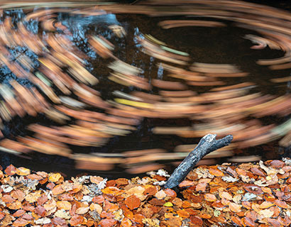Landschapsfotografie Hierdense Beek