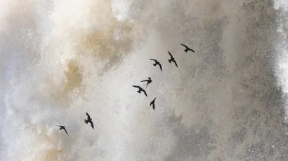 Natuurfotografie in weer en wind