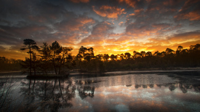 Landschapsfotografie Oisterwijkse Bossen en Vennen