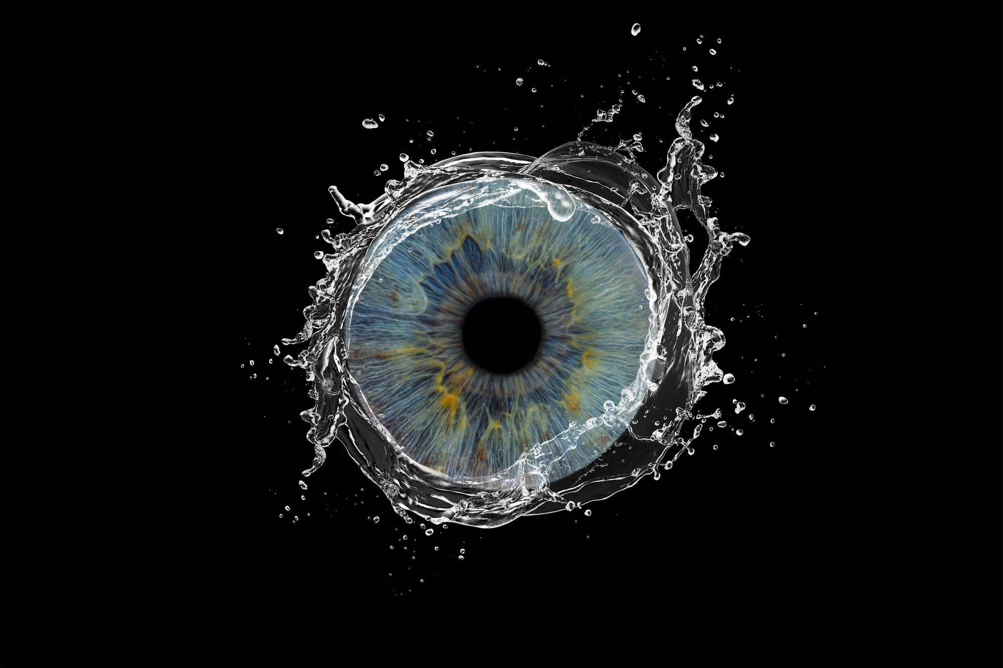 Iris Fotografie