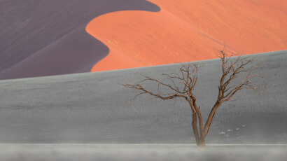 Controleer het licht - Landschapsfotografie met impact