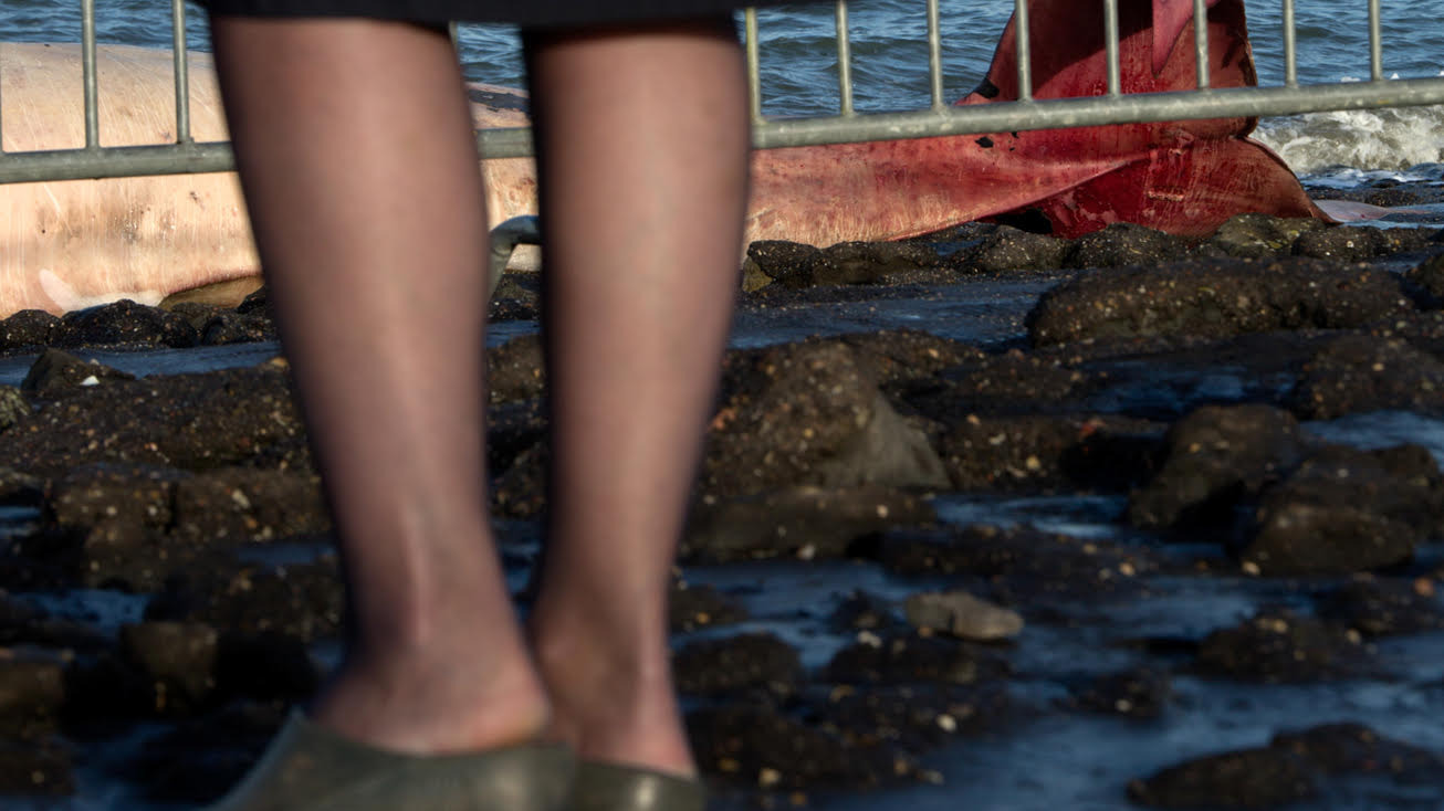 Orakel: Een walvis op het strand – fotografie van Karlijn van Diepen