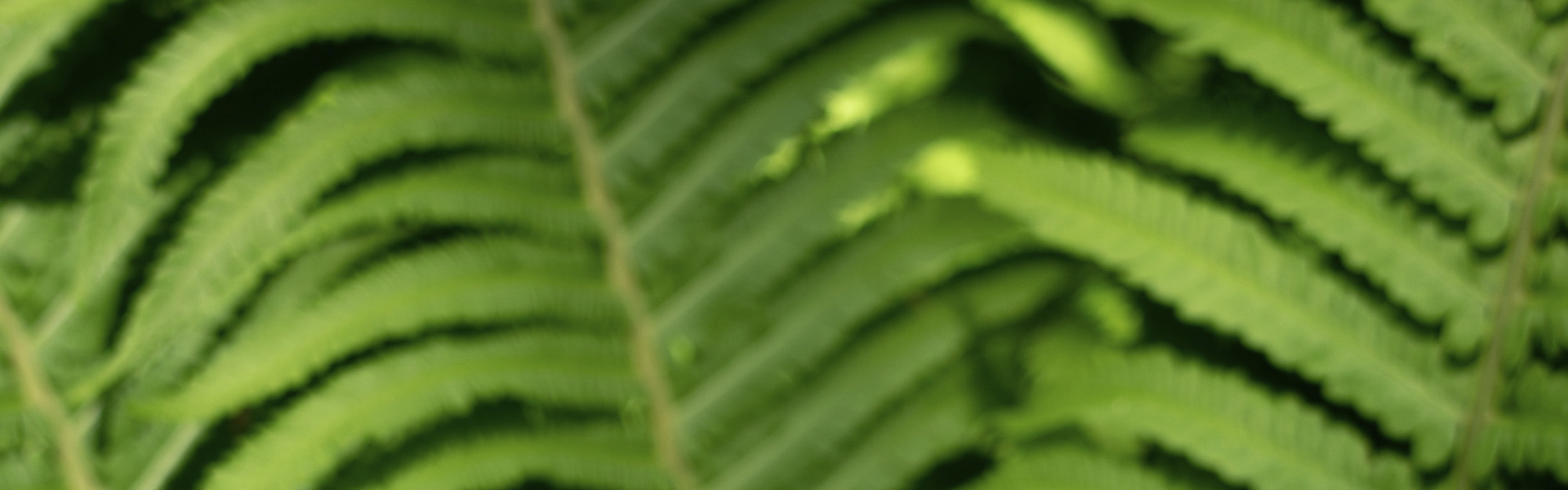 Banner for @mmousawy