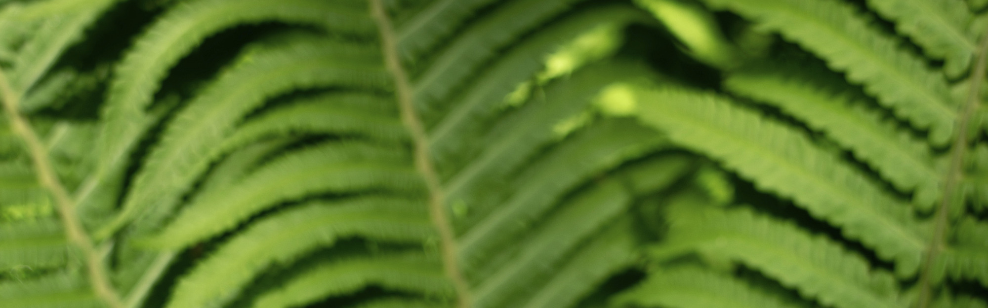 Banner for @mmousawy