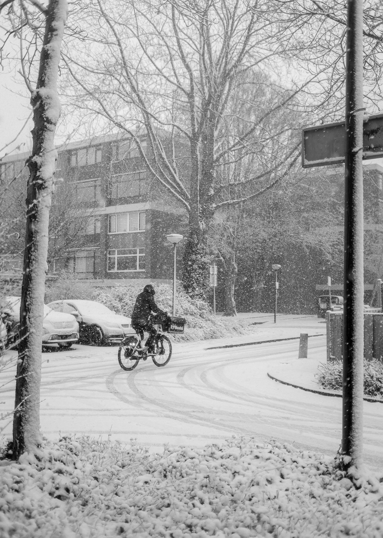 Snow day