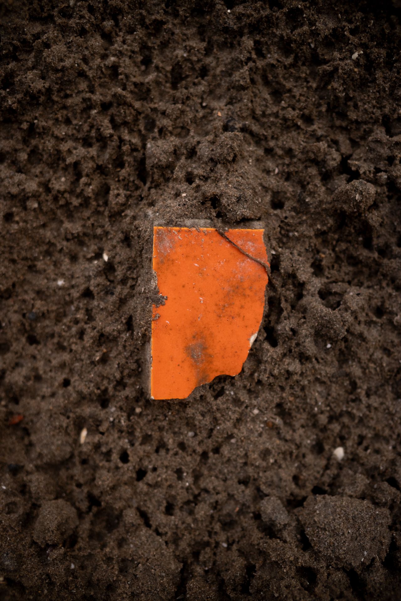 Orange (color challenge)