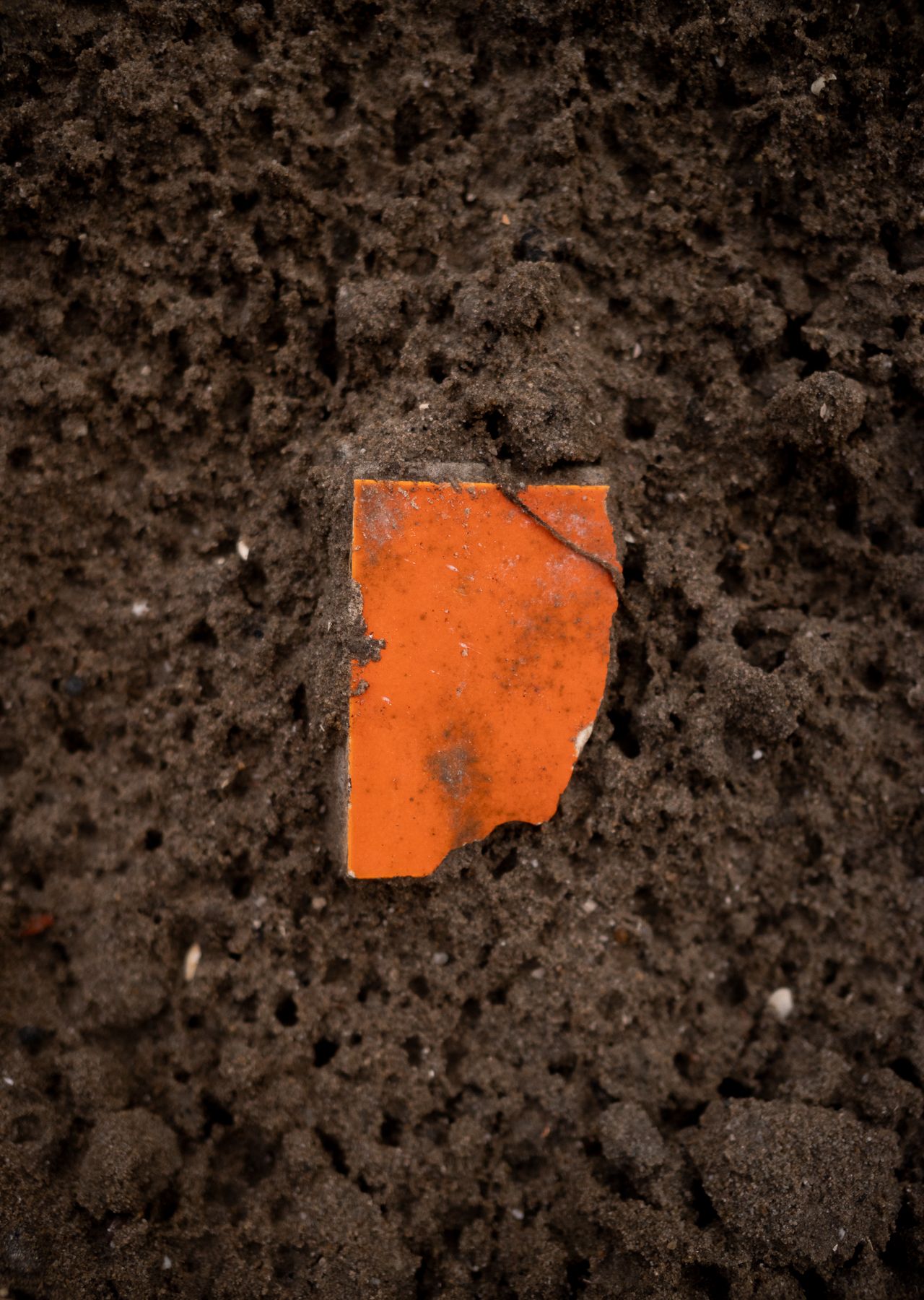 Orange (color challenge)